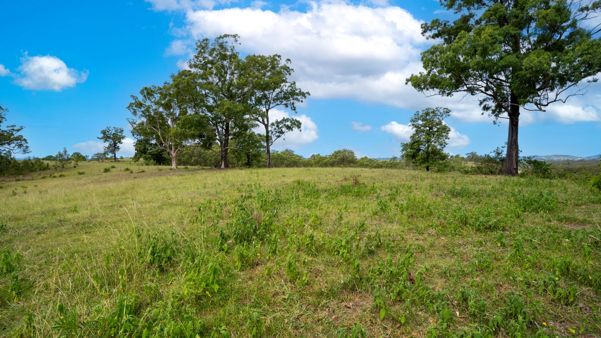 Additional image 24 of 198 Bow Hill Road, Dollys Flat NSW 2429