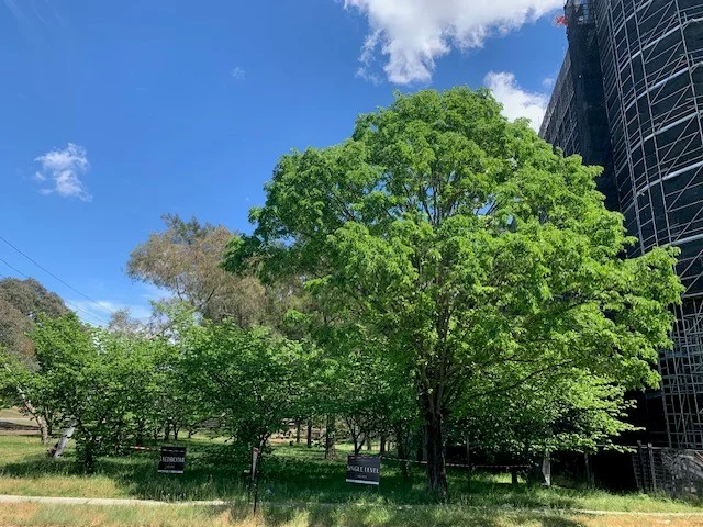 Additional image 19 of 14 Ibbott Lane, Belconnen ACT 2617