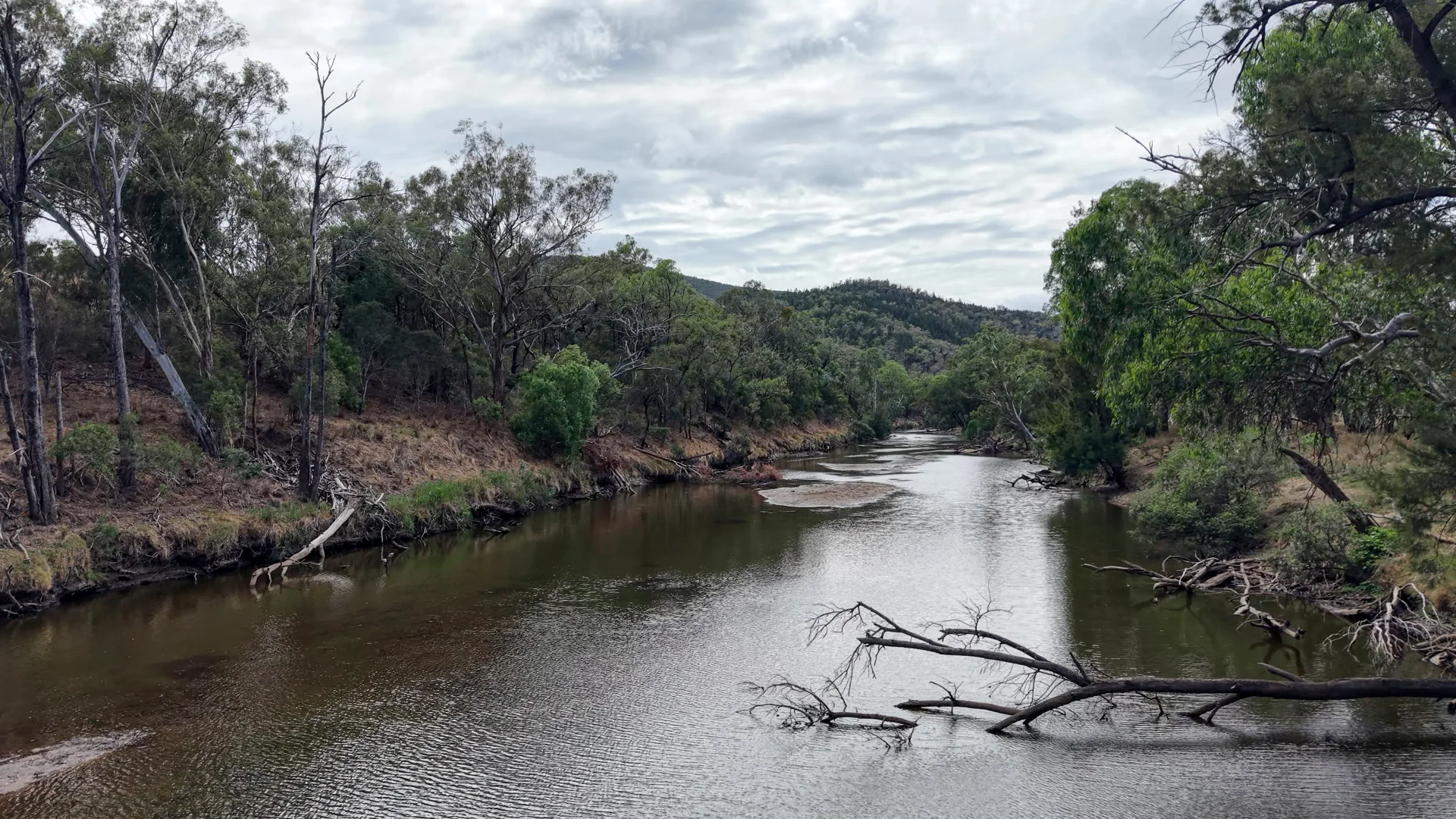Additional image 4 of 1213 Mole River Road, Tenterfield NSW 2372