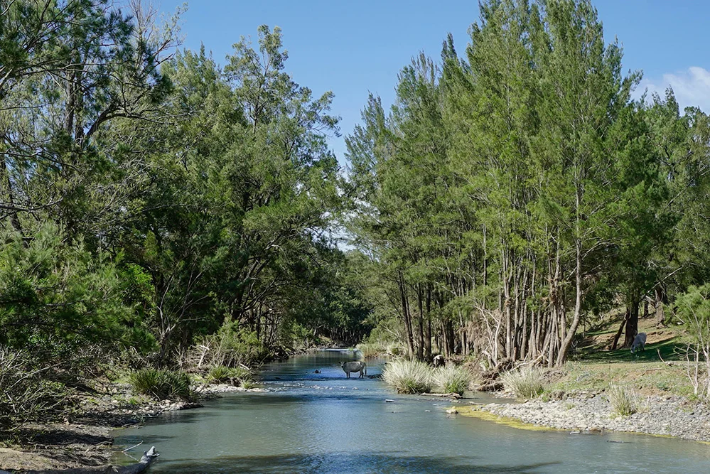 Additional image 31 of 1644 Paterson River Road, Lostock NSW 2311