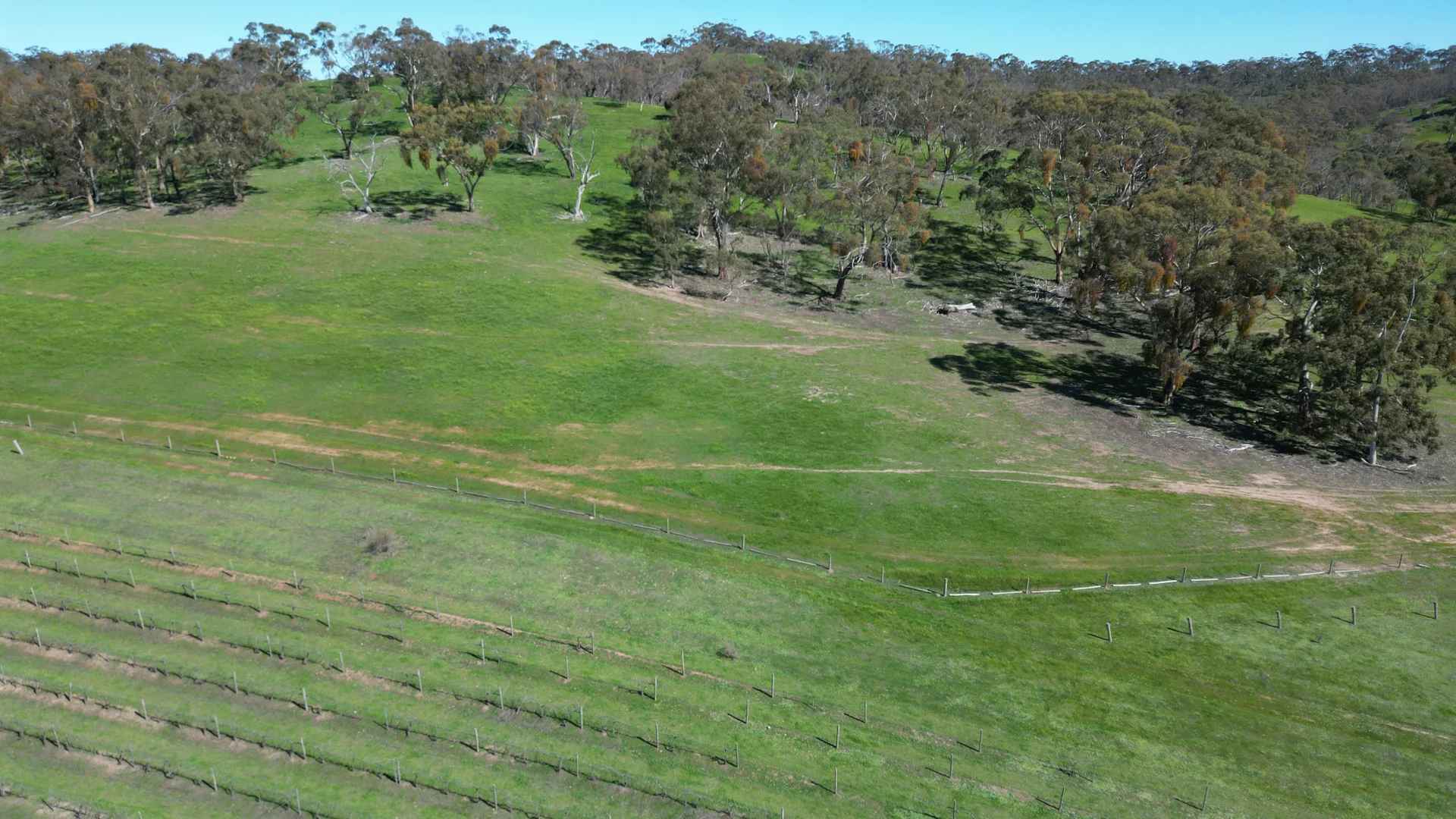 Additional image 18 of 97 McCord Lane, Gillentown SA 5453