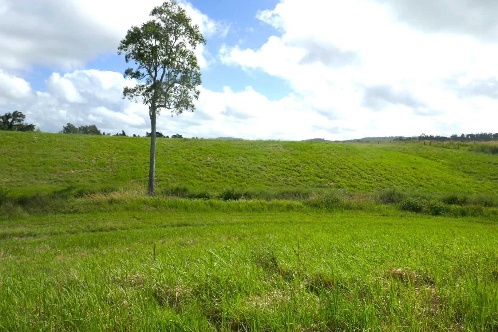 Additional image 11 of 495 Upper Stratheden Road, Kyogle NSW 2474