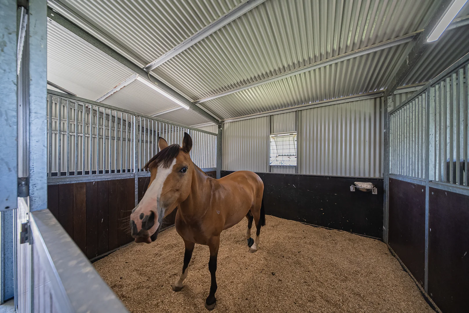 Additional image 33 of 729 Fosterton Road, Fosterton NSW 2420