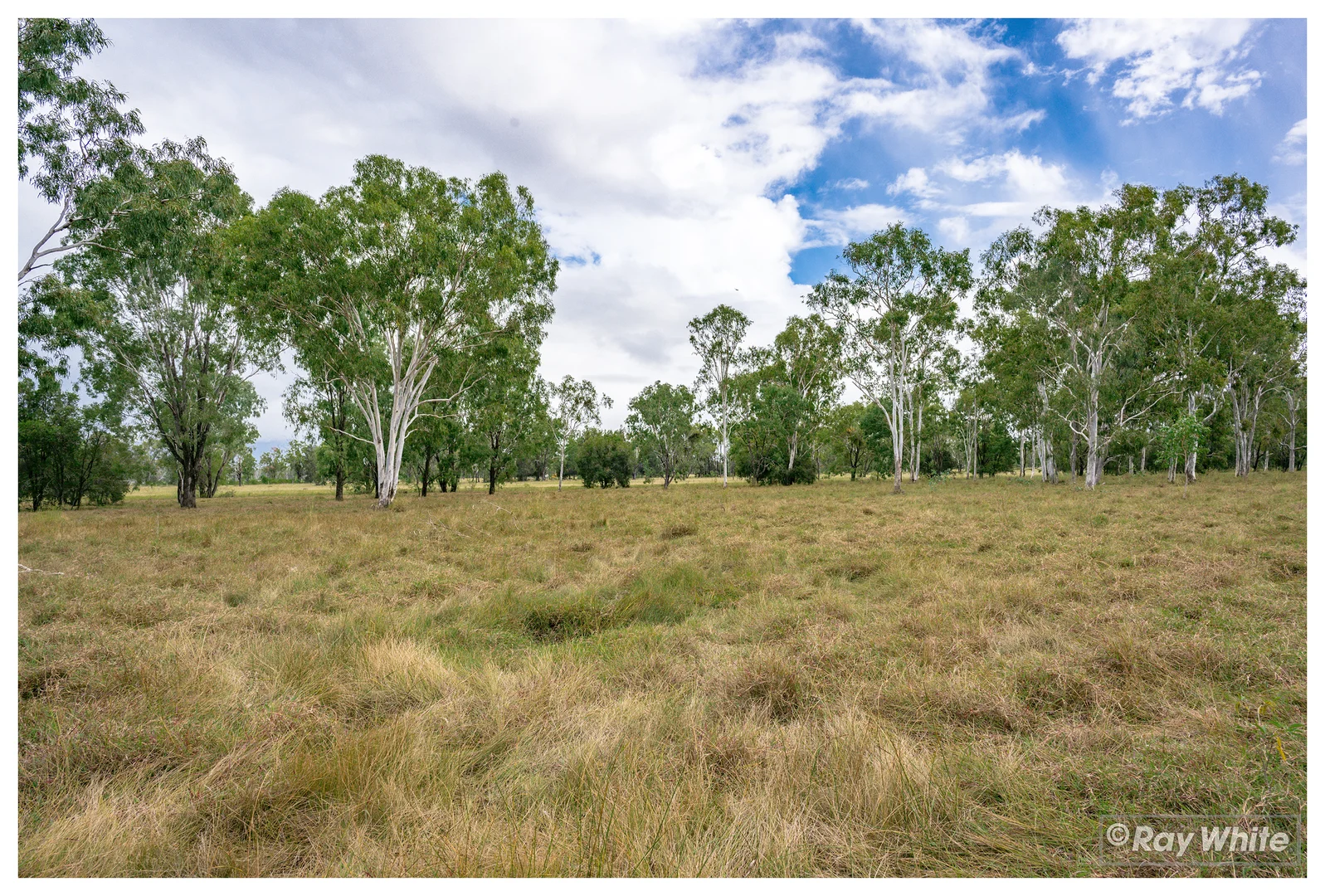 Additional image 5 of 253 Hunt Road, Alton Downs QLD 4702