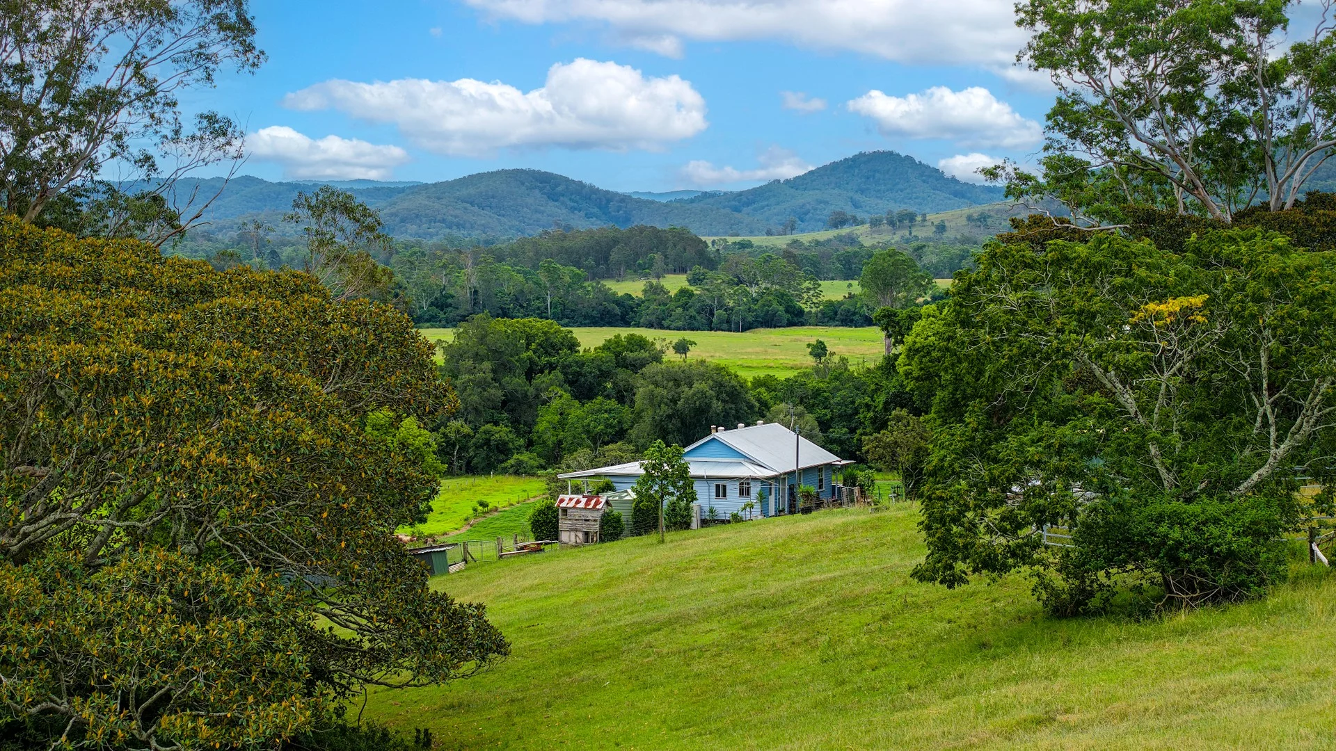 198 Bow Hill Road, Dollys Flat NSW 2429