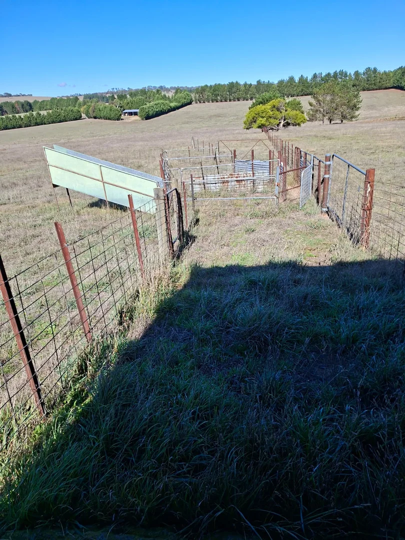 Additional image 14 of 1695 Gurrundah Road, Parkesbourne NSW 2580