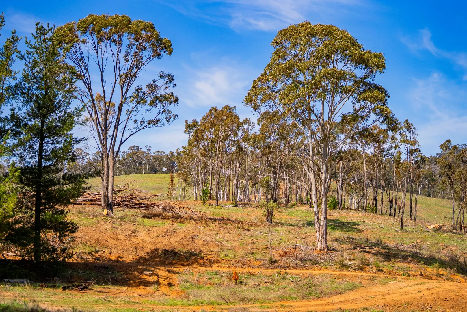 Additional image 6 of 1606 Mount Canobolas Road, Orange NSW, Orange NSW 2800