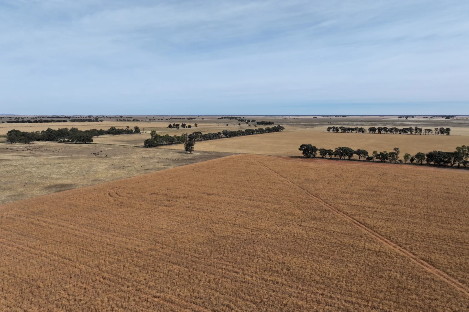 Additional image 19 of 1800 Mt Terrick Road, Roslynmead VIC 3564