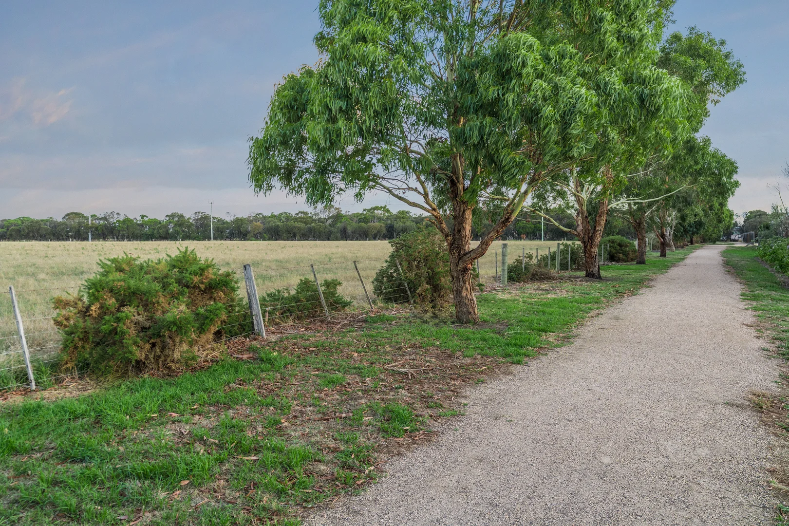 Additional image 18 of 6 Pescia Court, Leopold VIC 3224