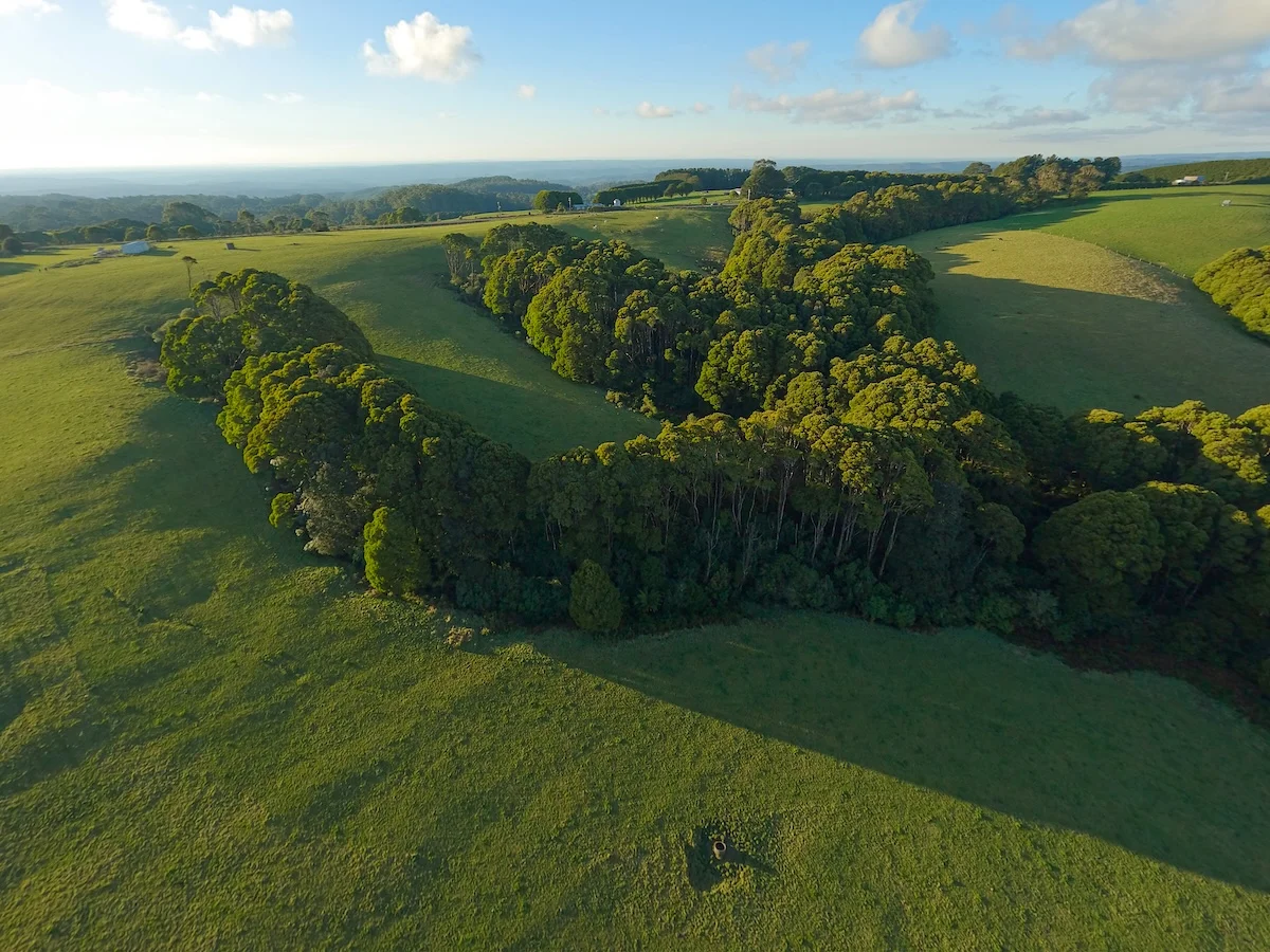 Additional image 17 of 125 Beech Forest - Lavers Hill Road, Beech Forest VIC 3237