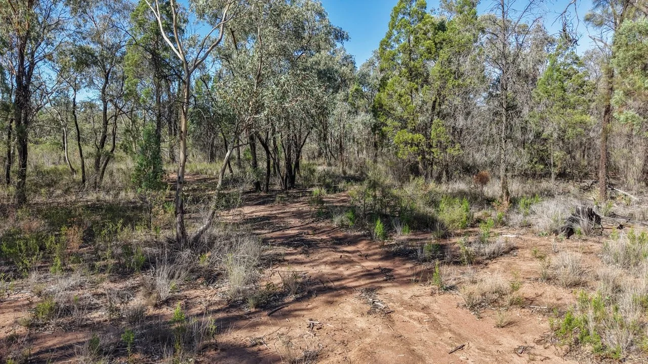 Additional image 8 of 47R Lagoon Creek Road, Minore NSW 2830