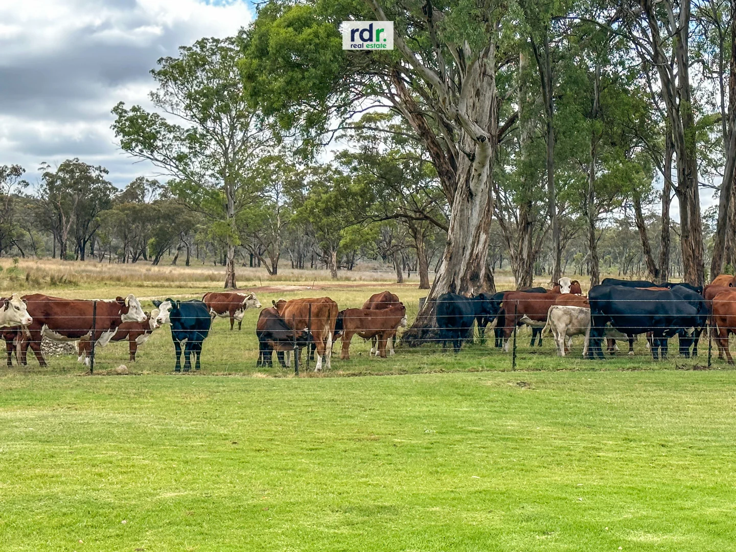 Additional image 32 of 14381 Guyra Rd, Inverell NSW 2360