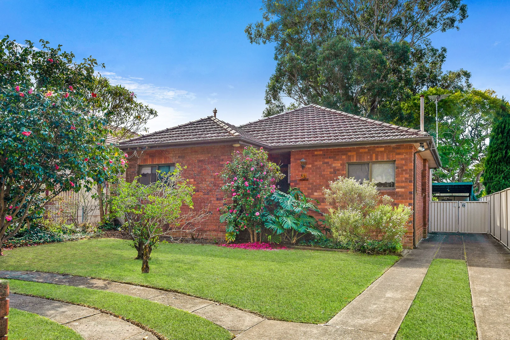 Additional image 7 of 31 Segers Avenue, Padstow NSW 2211
