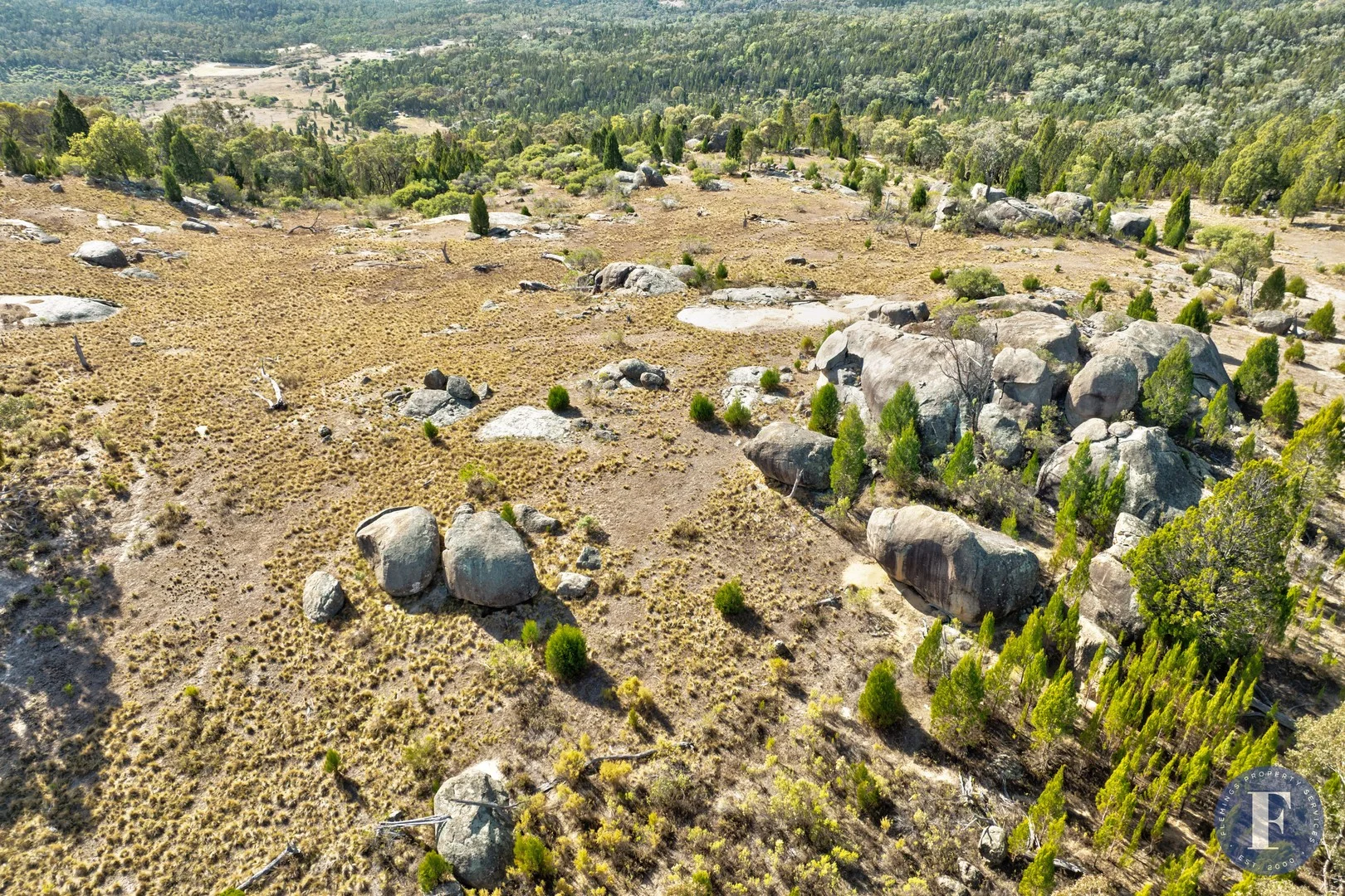 1603 Foggs Crossing Road, Reids Flat NSW 2586