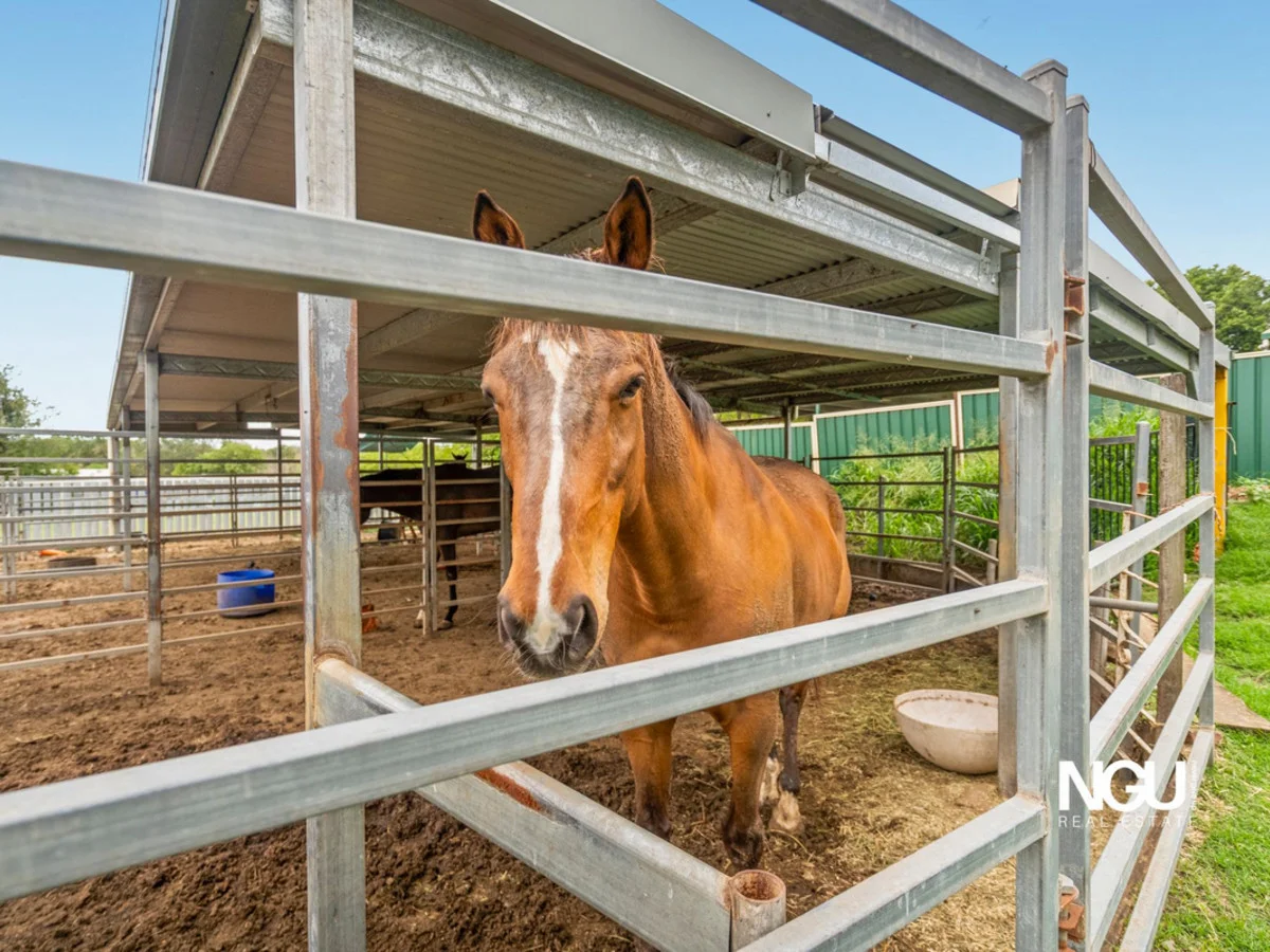 Additional image 19 of 54 Stafford Street, Silkstone QLD 4304