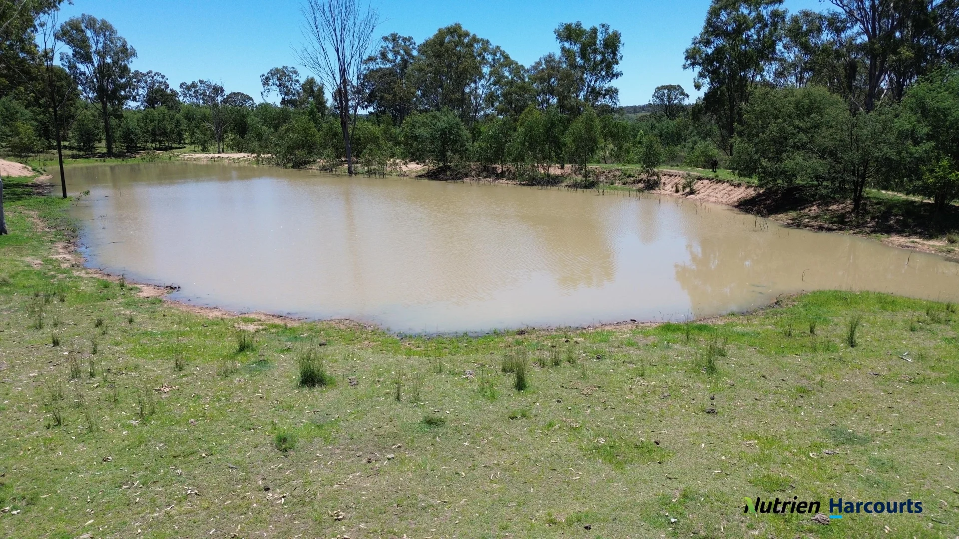 Additional image 16 of 960 Dangore Mountain Road, Dangore QLD 4610