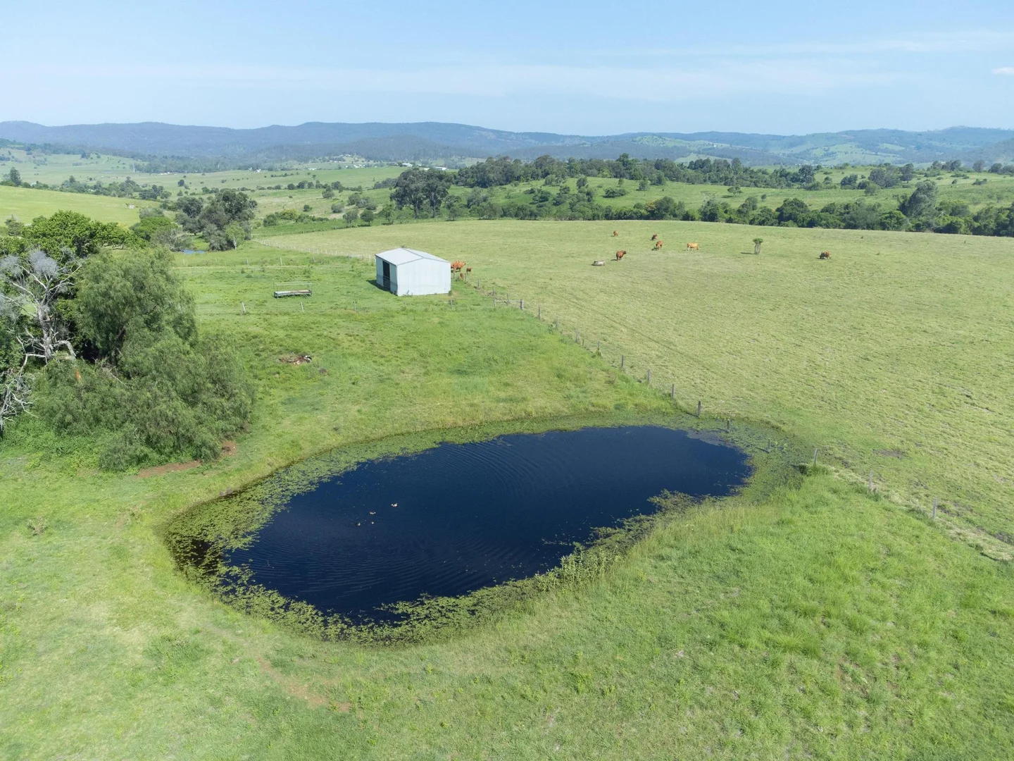 Additional image 21 of 219 Stanfield Rd, Teviotville QLD 4309