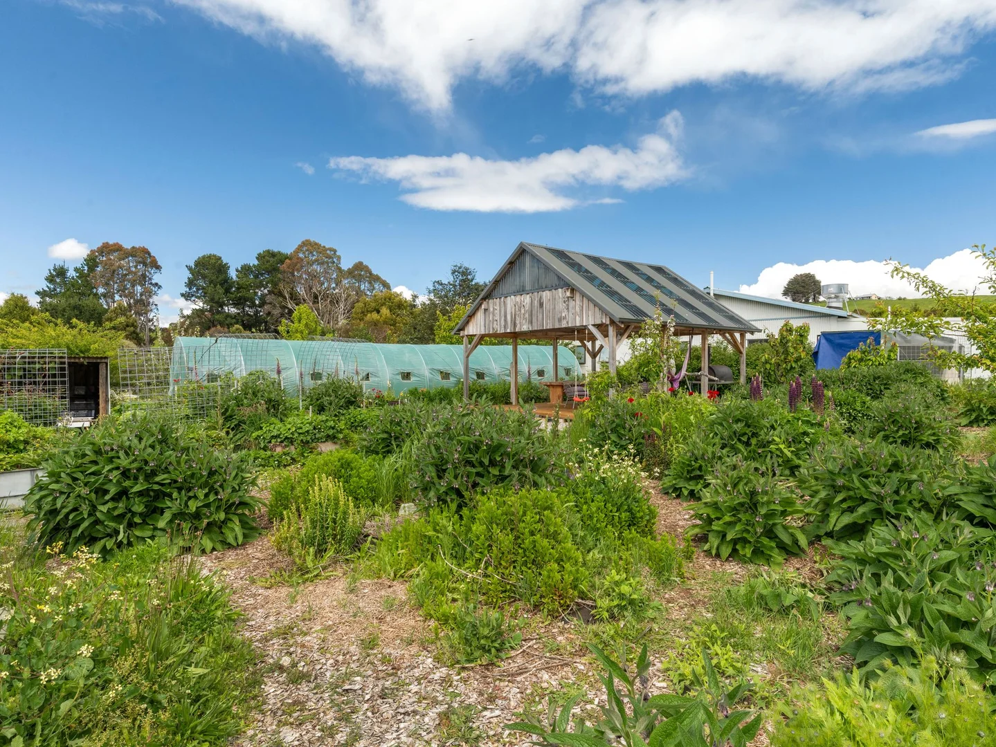 Additional image 29 of 309 West Ridgley Road, West Ridgley TAS 7321