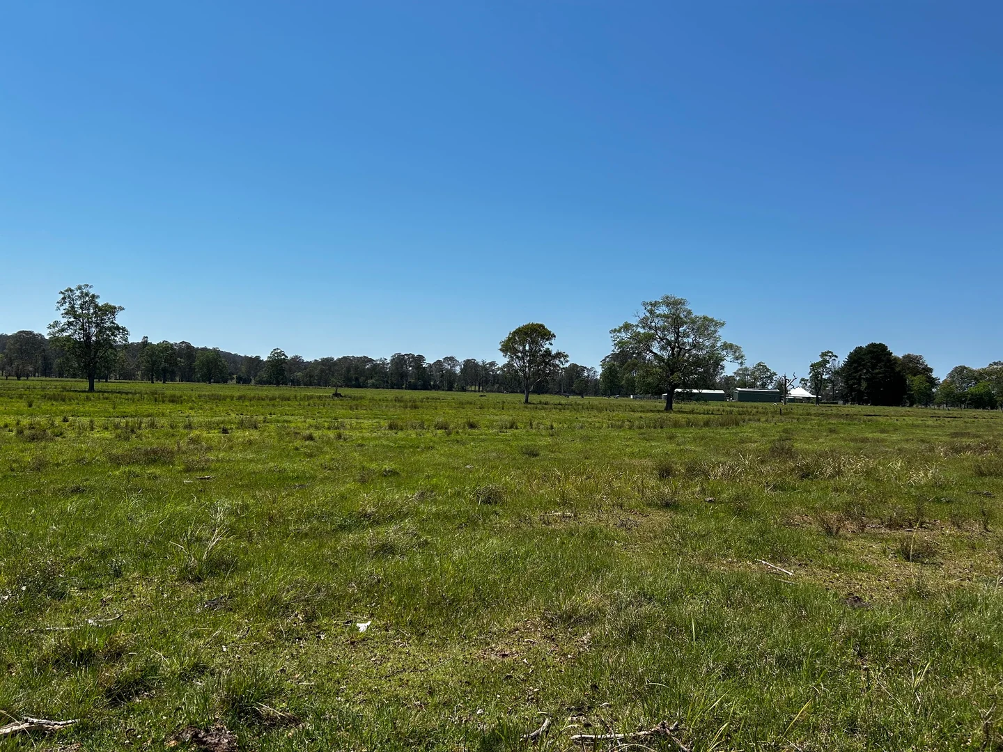 Additional image 17 of 140 Hogarth Range Road, Mongogarie NSW 2470