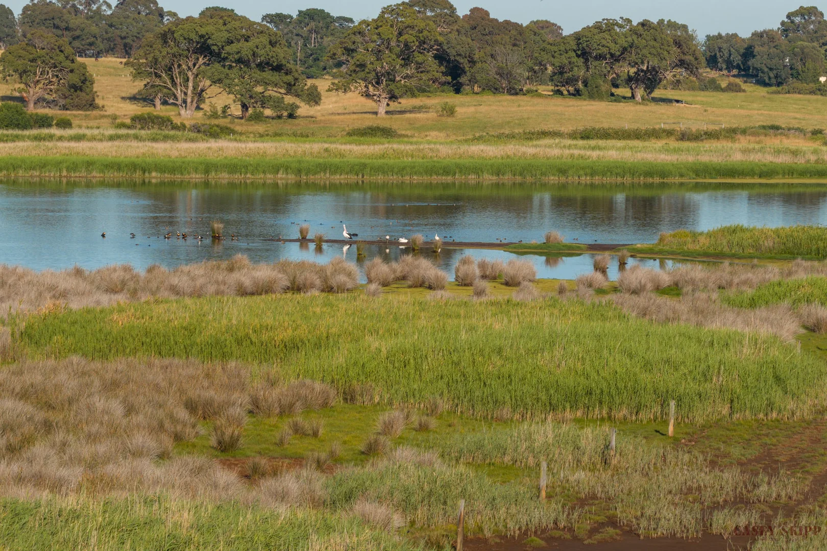 Additional image 9 of 364 Metung Road, Metung VIC 3904