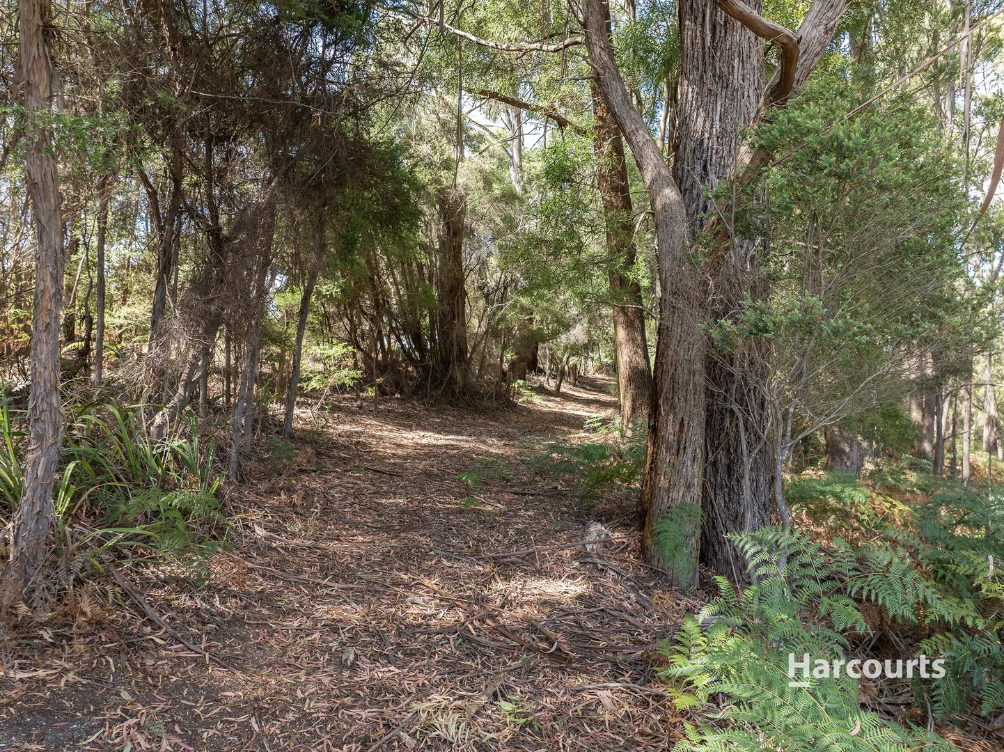 Additional image 24 of 10 Frenchs Road, Somerset TAS 7322