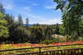 Additional image 72 of 4345 LA Brosa Pl, Foresthill, CA, 95631