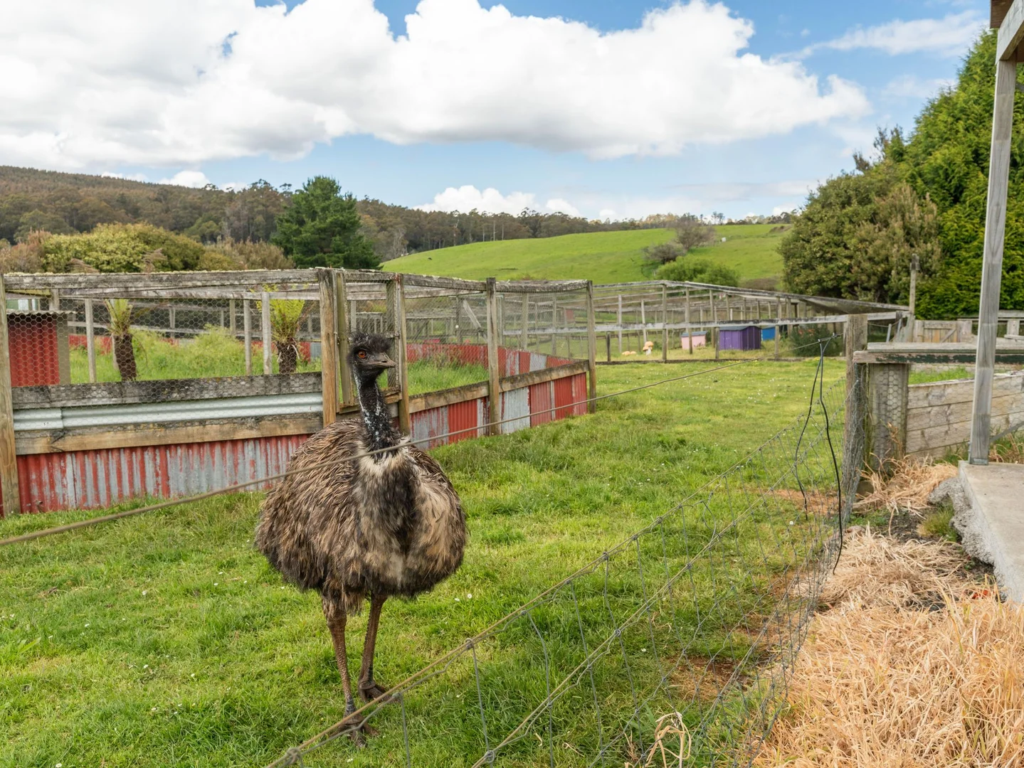 Additional image 31 of 309 West Ridgley Road, West Ridgley TAS 7321