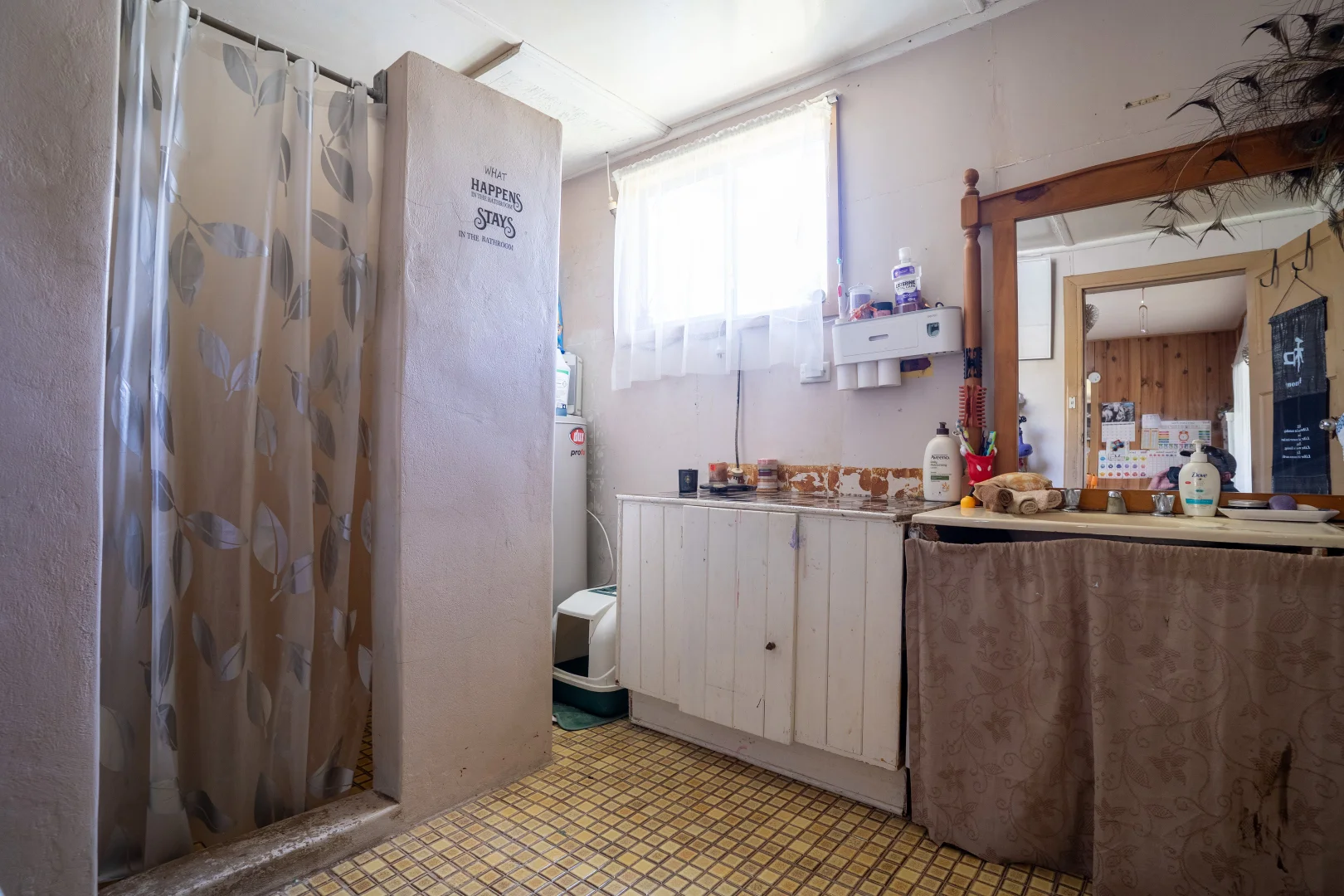 Additional image 9 of 49 Clyburn Street, Canowindra NSW 2804