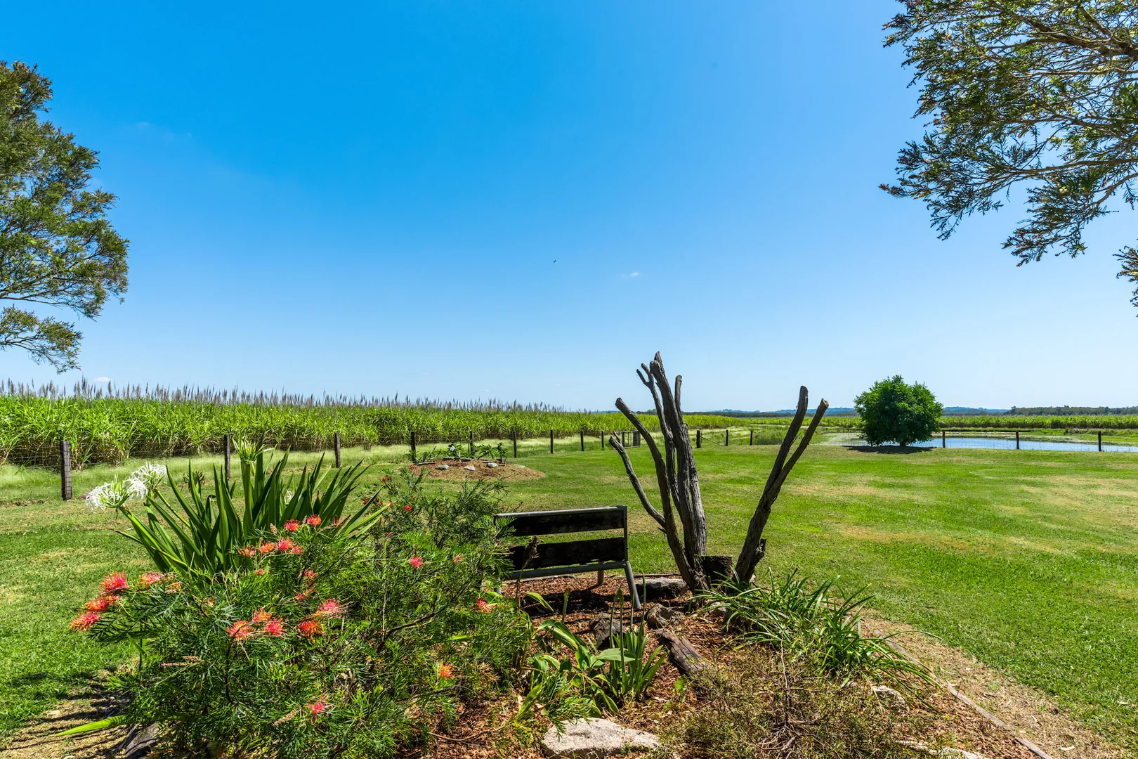 Additional image 25 of 354 Broadwater Road, Dungarubba NSW 2480