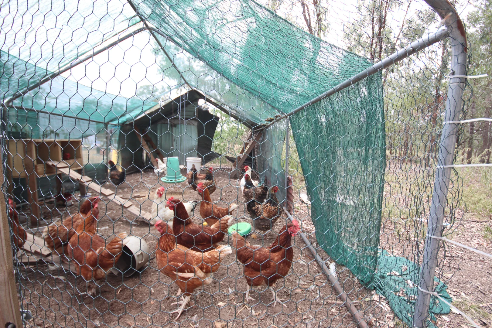 Additional image 12 of 21 Sprys Road, Boynewood, Mundubbera QLD 4626