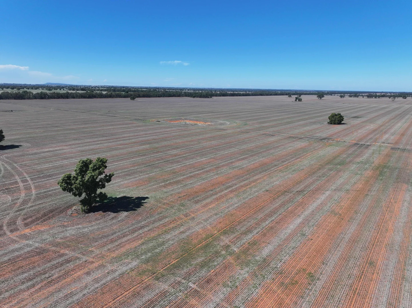 Additional image 9 of Shannonvale & Elmore Strontian Road, Boree Creek NSW 2652