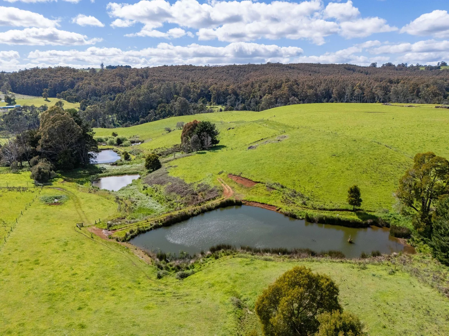 Additional image 47 of 309 West Ridgley Road, West Ridgley TAS 7321