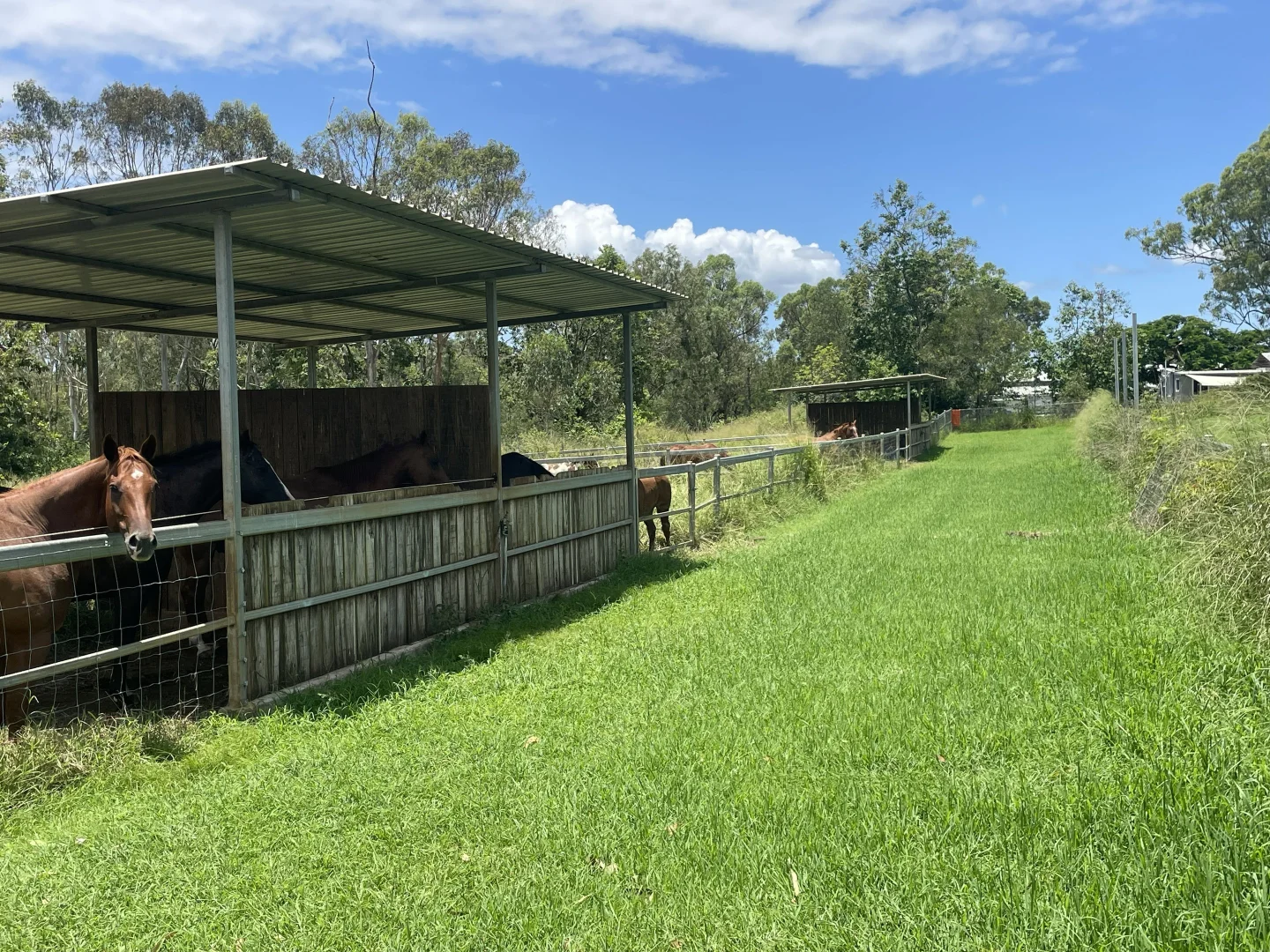 Additional image 11 of 2001 Emu Park Road, Tungamull QLD 4702