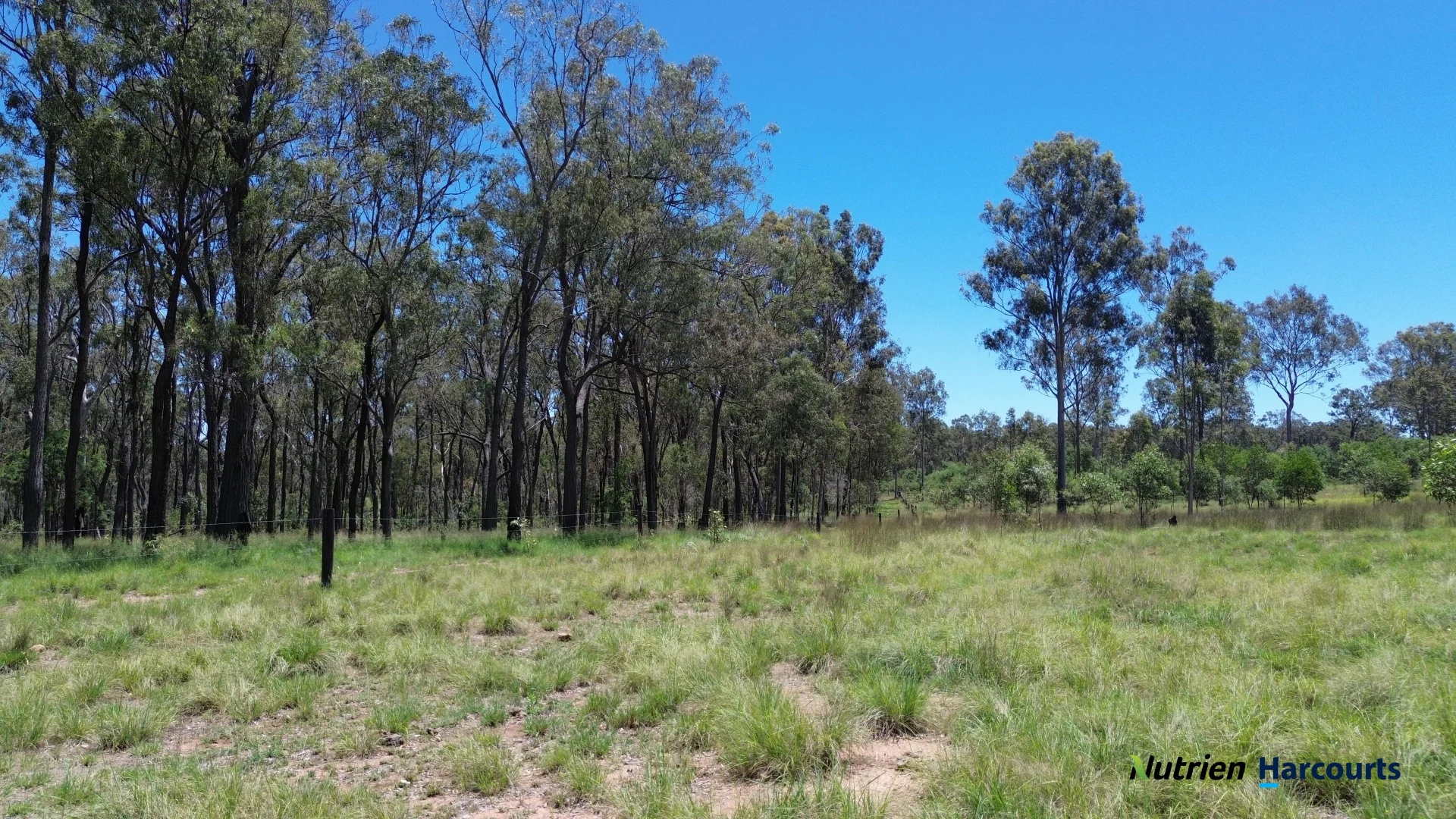 Additional image 14 of 960 Dangore Mountain Road, Dangore QLD 4610