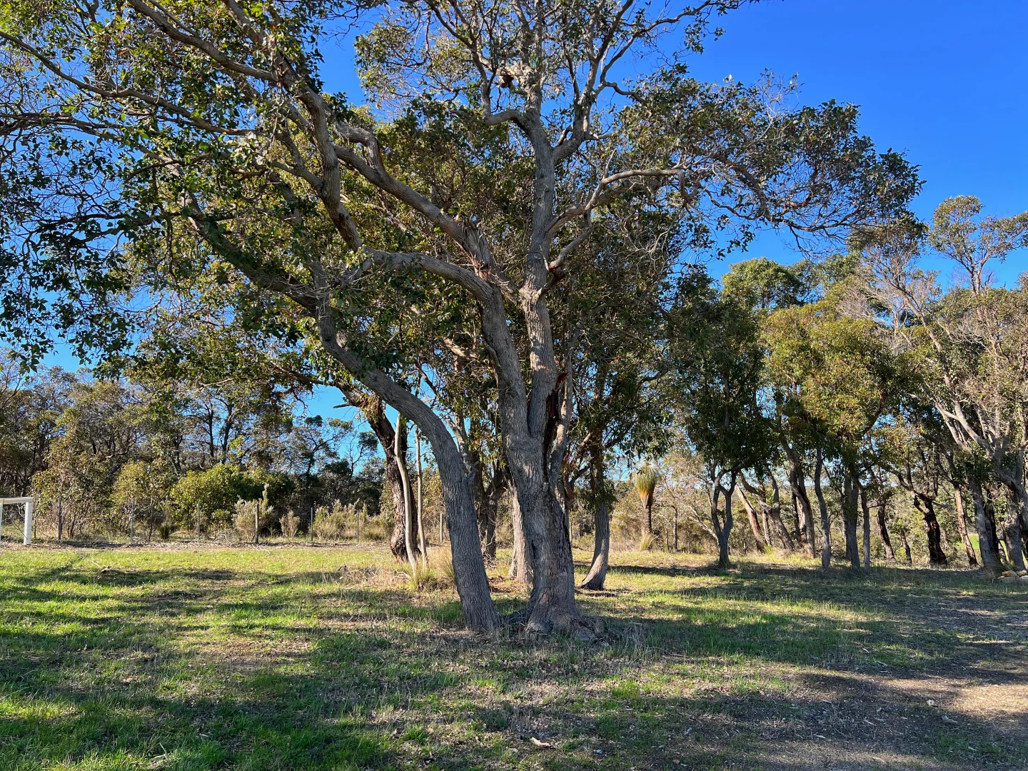 Additional image 4 of 83 Grandview Rise, Kalgan WA 6330