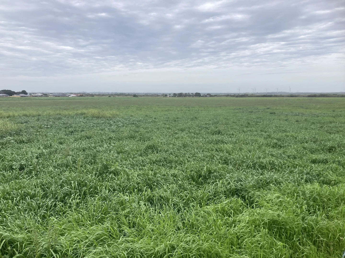 Additional image 3 of 4090 Bass Highway, Dalyston VIC 3992