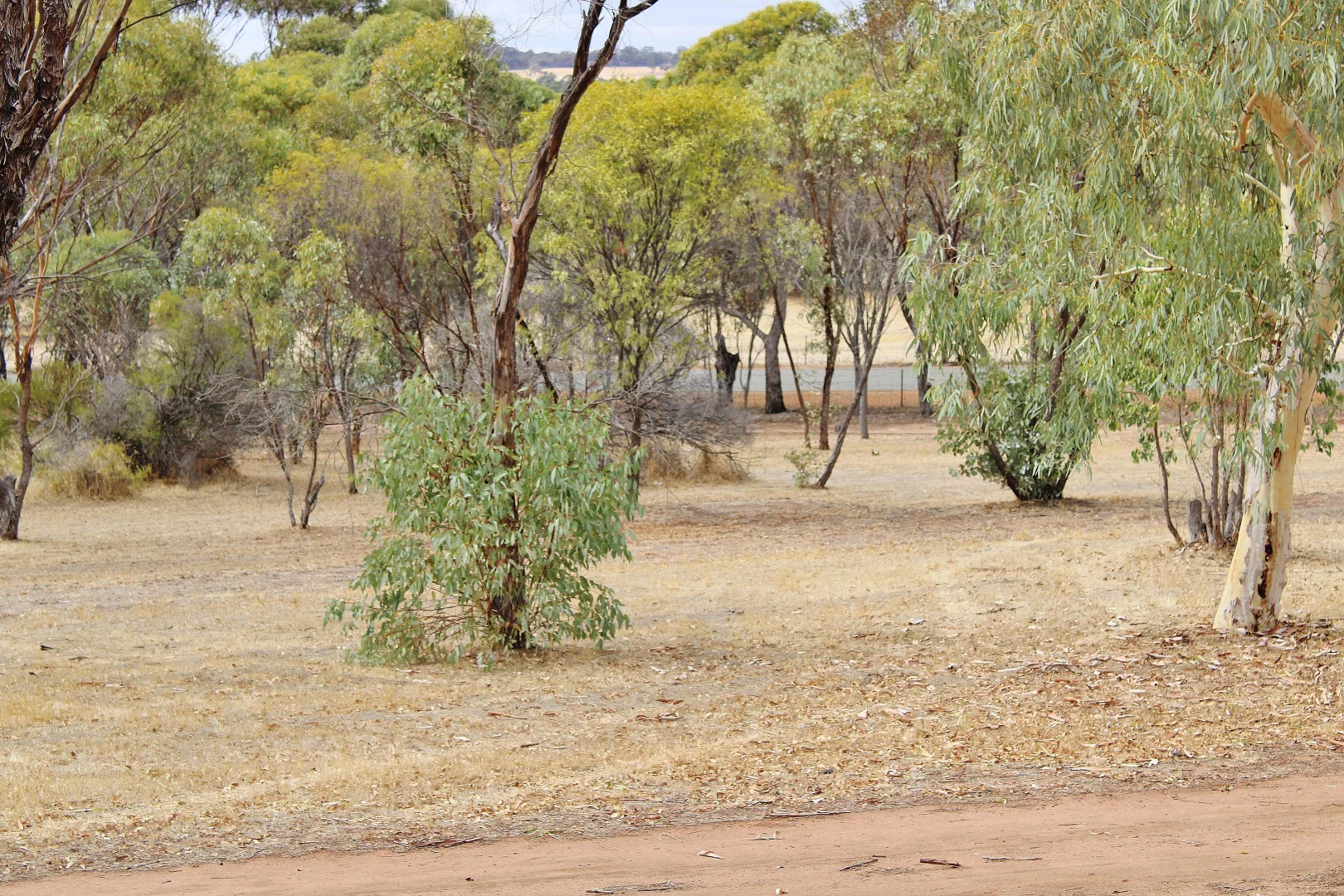 Additional image 23 of 95 CAMPBELL STREET, Cuballing WA 6311