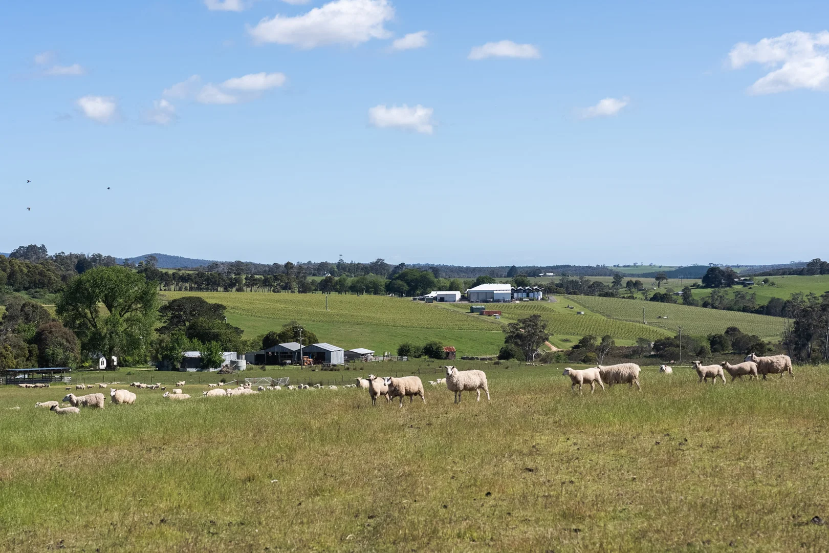 Additional image 3 of 120 Security Road, Pipers River TAS 7252