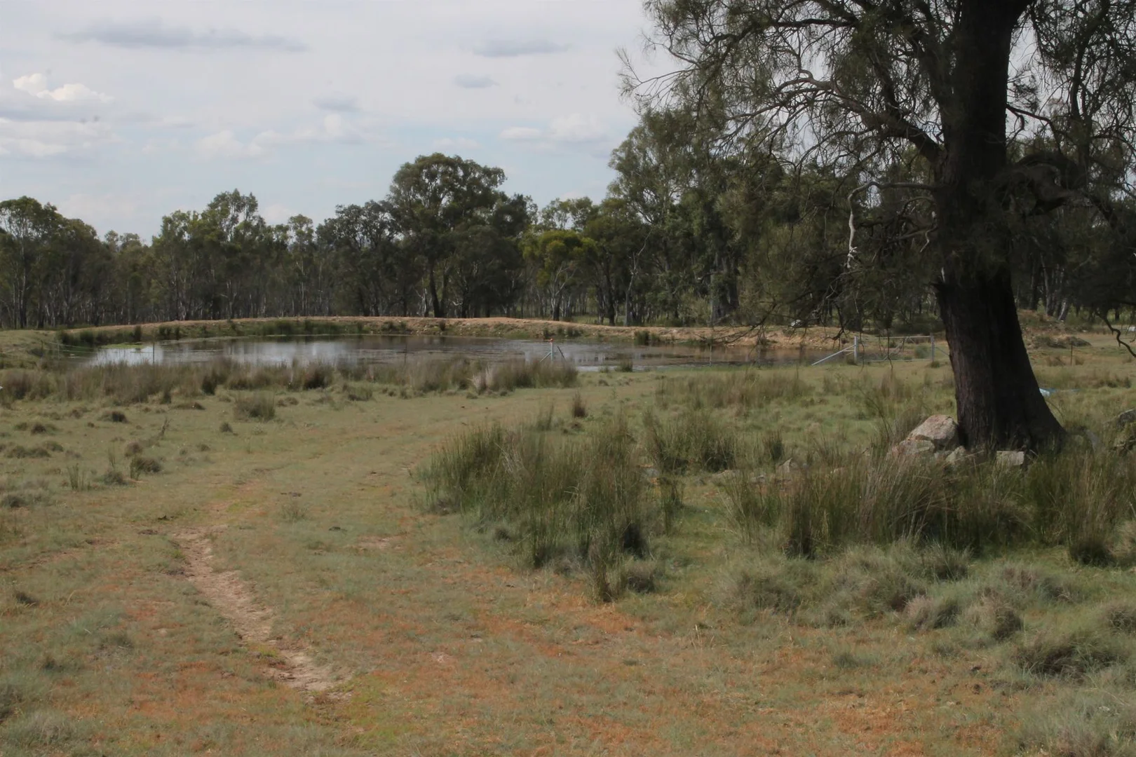 Additional image 12 of Lot 158 Woodside Road, Tenterfield NSW 2372