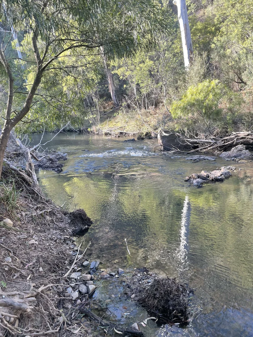 Additional image 26 of 2058 Mckillops Rd, Tubbut VIC 3888