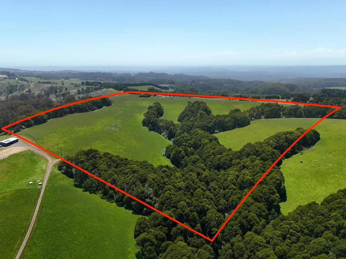 Additional image 22 of 125 Beech Forest - Lavers Hill Road, Beech Forest VIC 3237