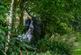 Additional image 40 of Joss Lane, Sedbergh LA10