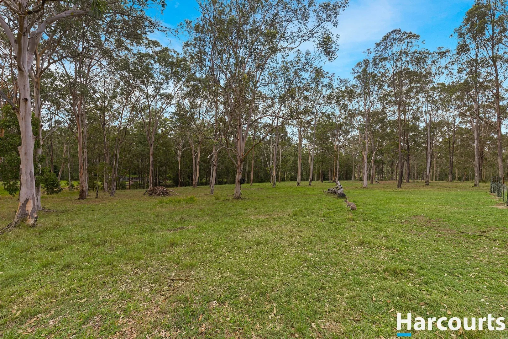 Additional image 21 of 1416 Webbers Creek Road, Paterson NSW 2421