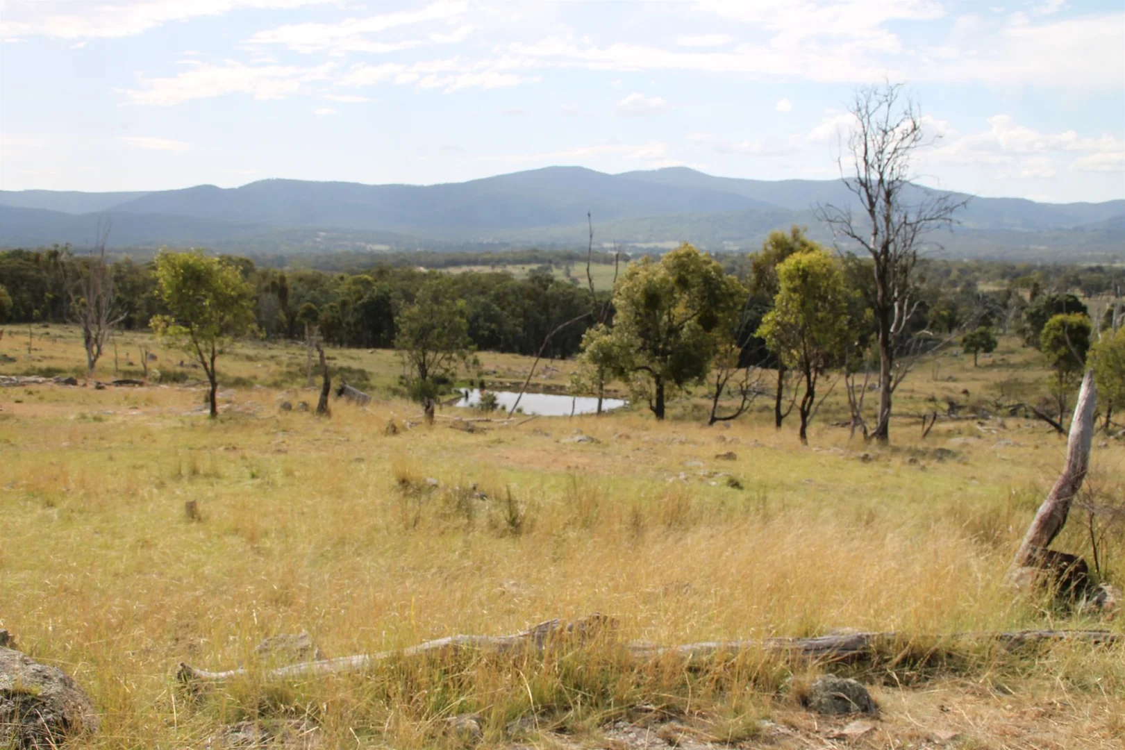 Additional image 5 of Lot 158 Woodside Road, Tenterfield NSW 2372