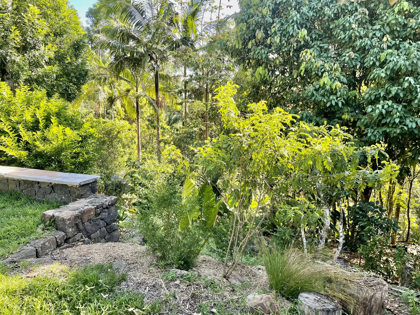 Additional image 34 of 14-16 Nimbin Street, The Channon NSW 2480
