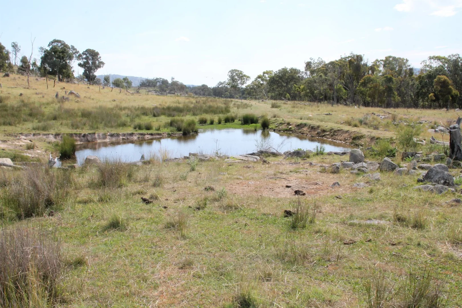 Additional image 11 of Lot 158 Woodside Road, Tenterfield NSW 2372