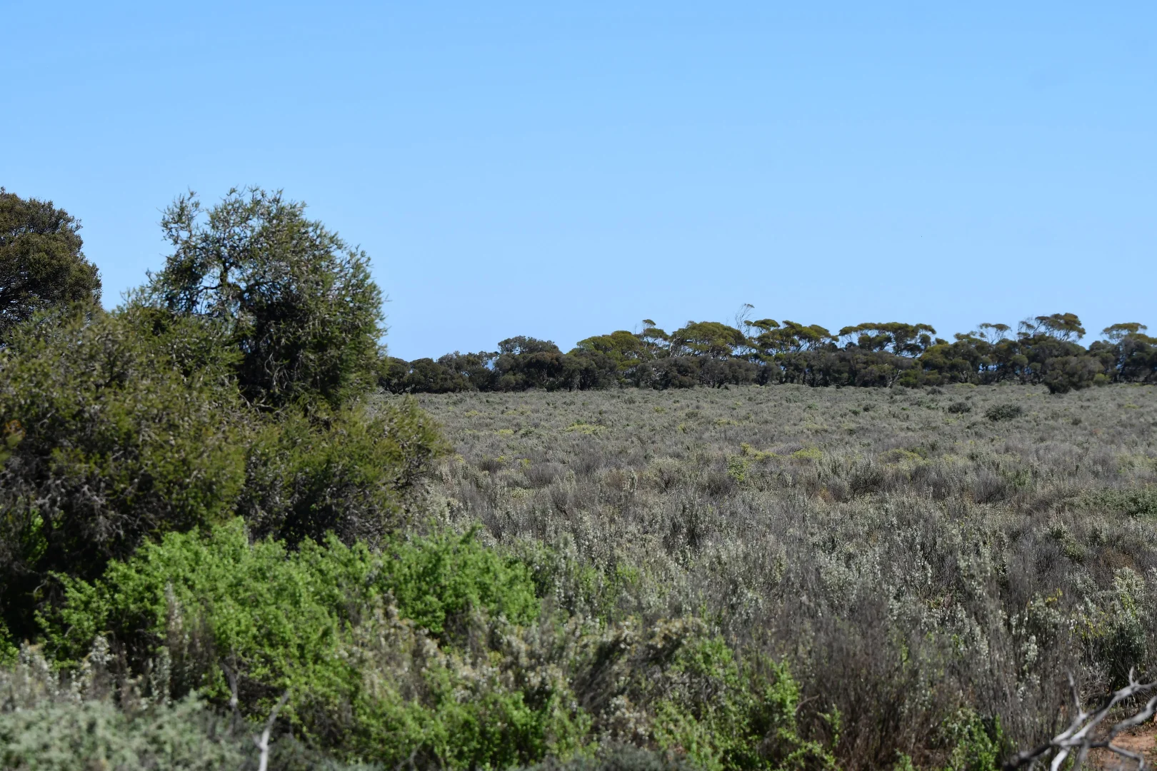 Additional image 5 of 38 Samphire Road, Port Germein SA 5495