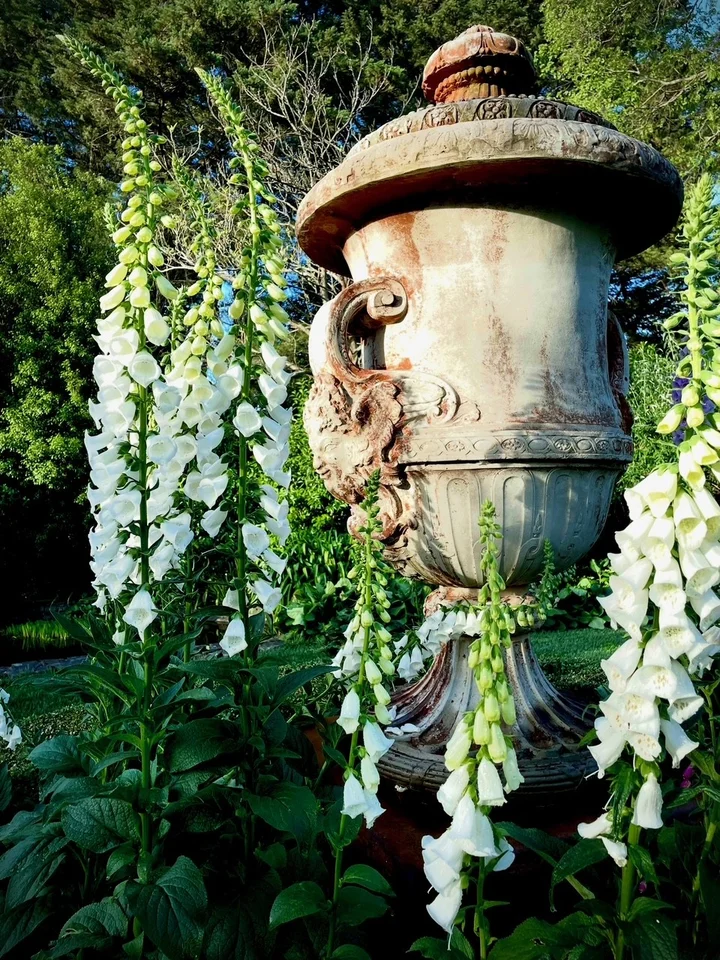 Additional image 19 of 18 Osborne Road, Burradoo NSW 2576