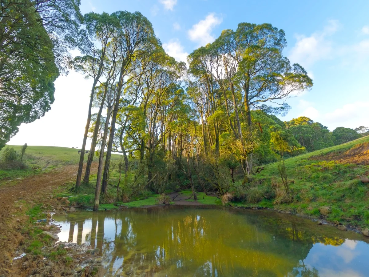 Additional image 19 of 125 Beech Forest - Lavers Hill Road, Beech Forest VIC 3237