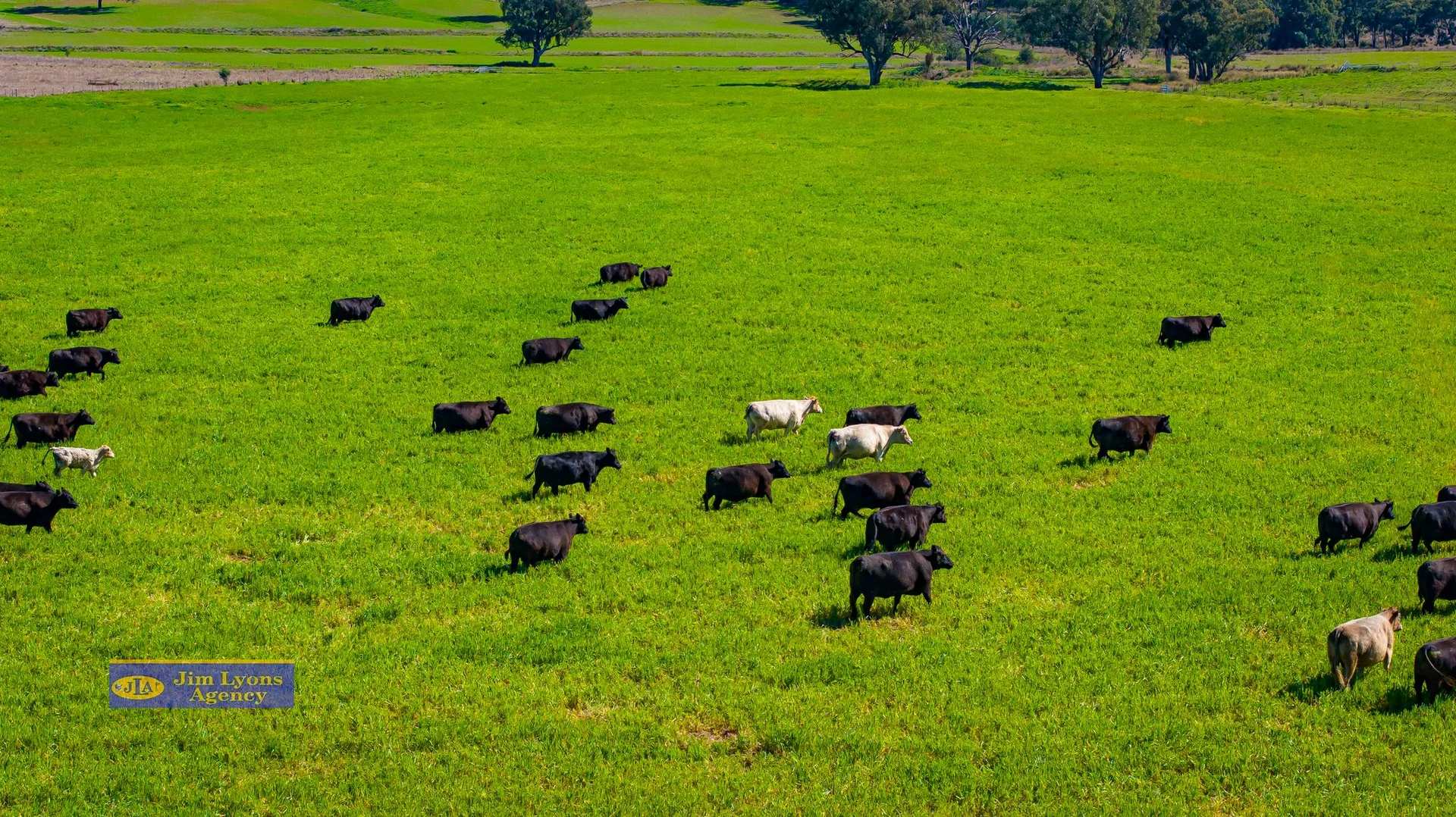 Additional image 10 of The Manor/2226 Manilla Road, Tamworth NSW 2340